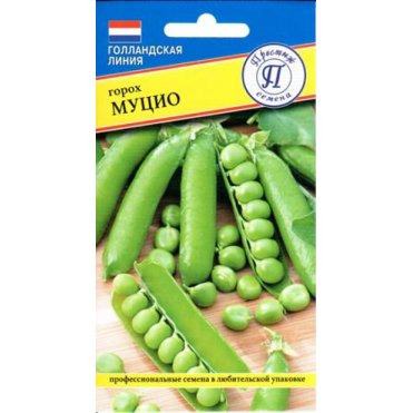 Семена Горх "Муцио" 4 гр, Престиж